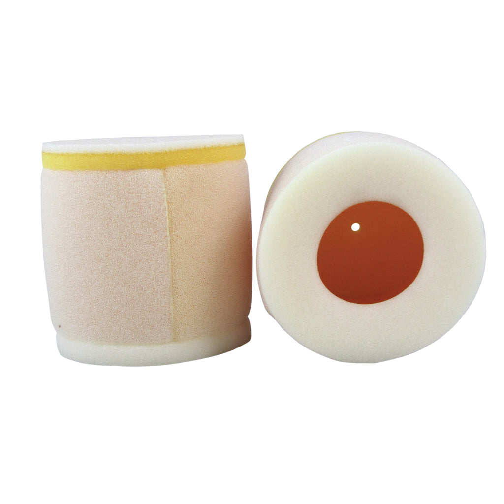 Premium Air Filter