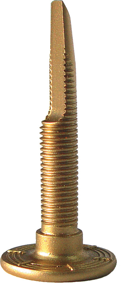 Woodys Chisel Tooth Studs