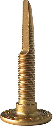 Woodys Chisel Tooth Studs