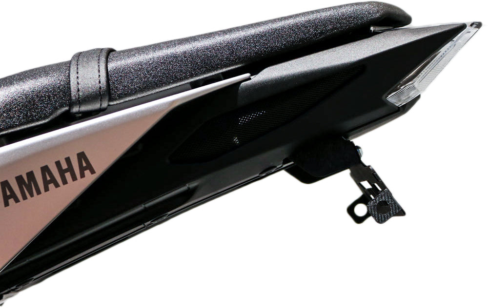 Fender Eliminator
