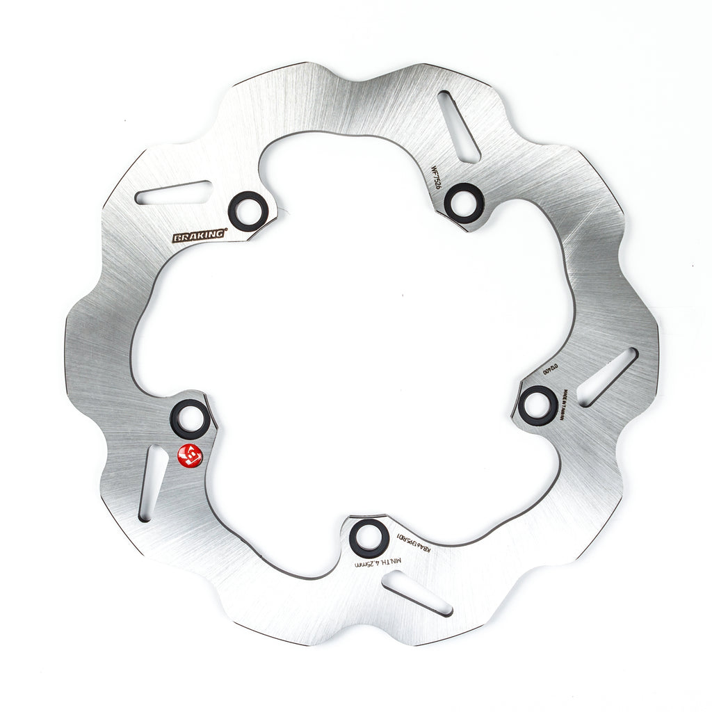 Stainless Steel Racing Rotor