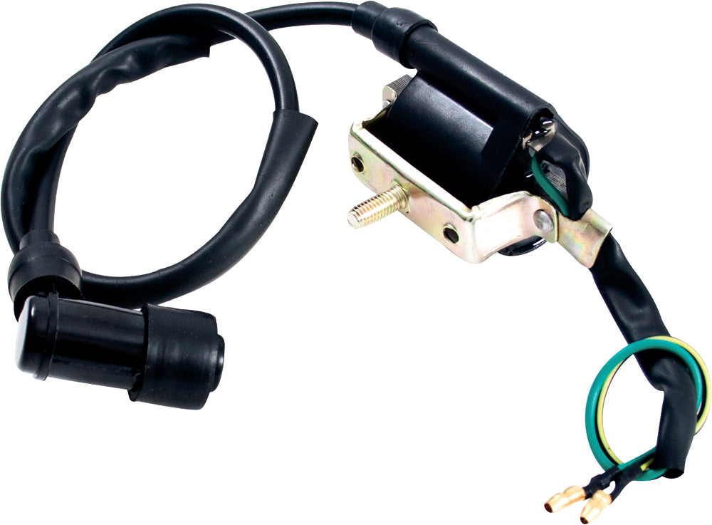 Engine Ignition Coil