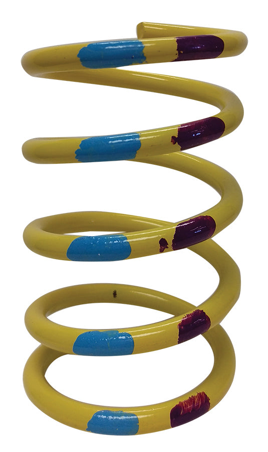 Steel Primary Spring
