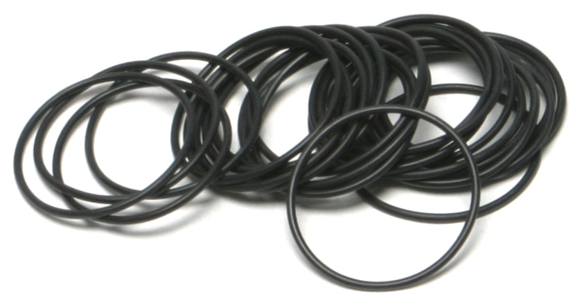 Evo O-Ring