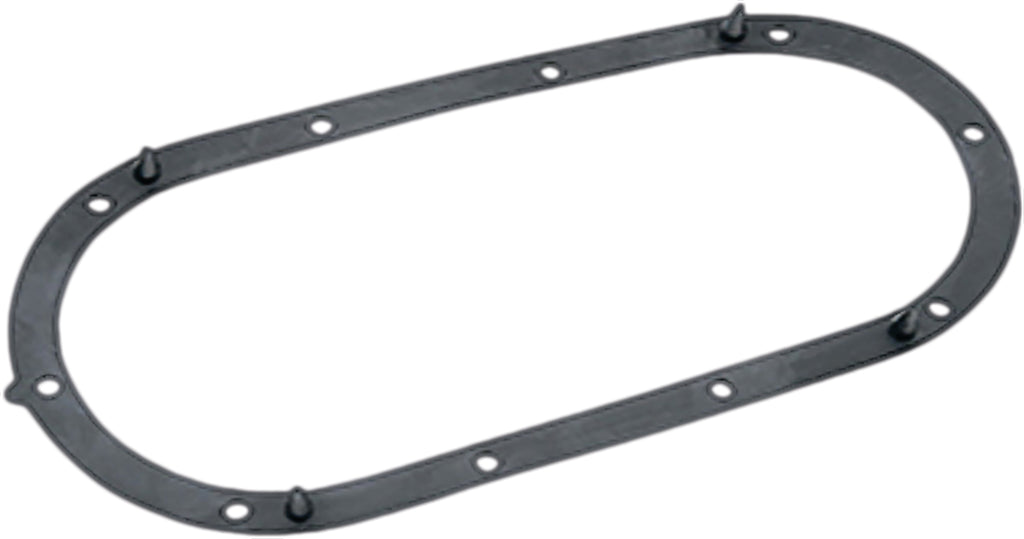Fuel Pump Door Gasket