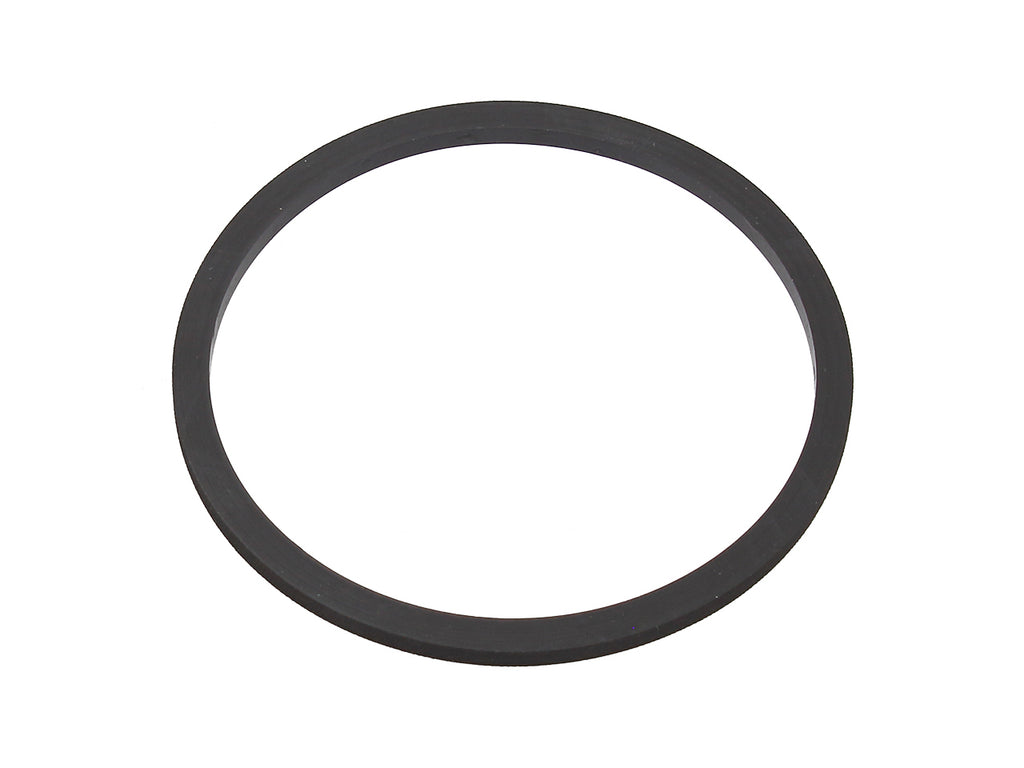 Fuel Pump Seal
