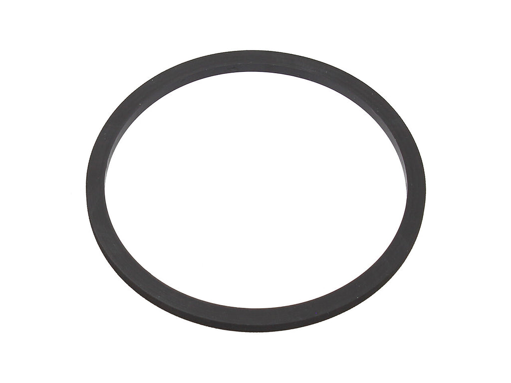 Fuel Pump Seal