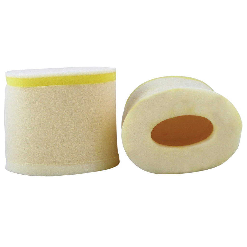 Premium Air Filter