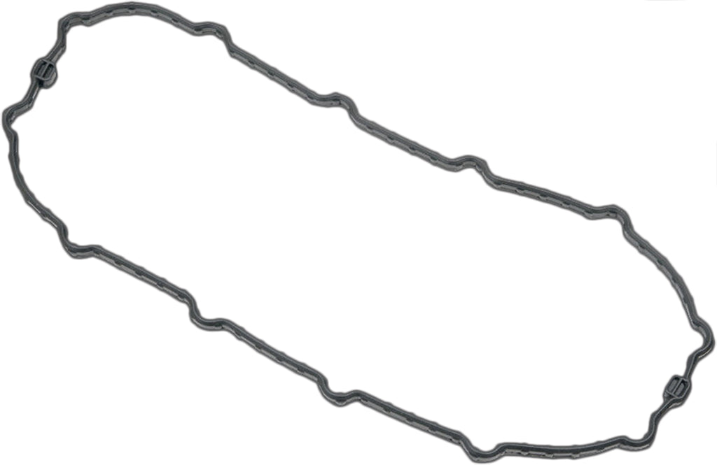 Fuel Pump Door Gasket