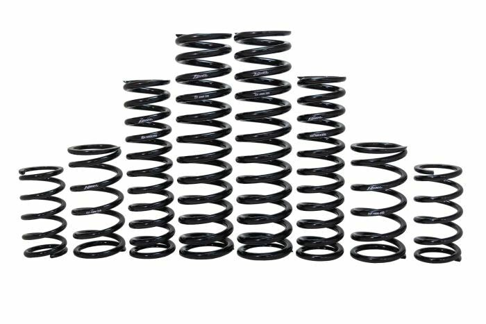 Dual Rate Spring Kit