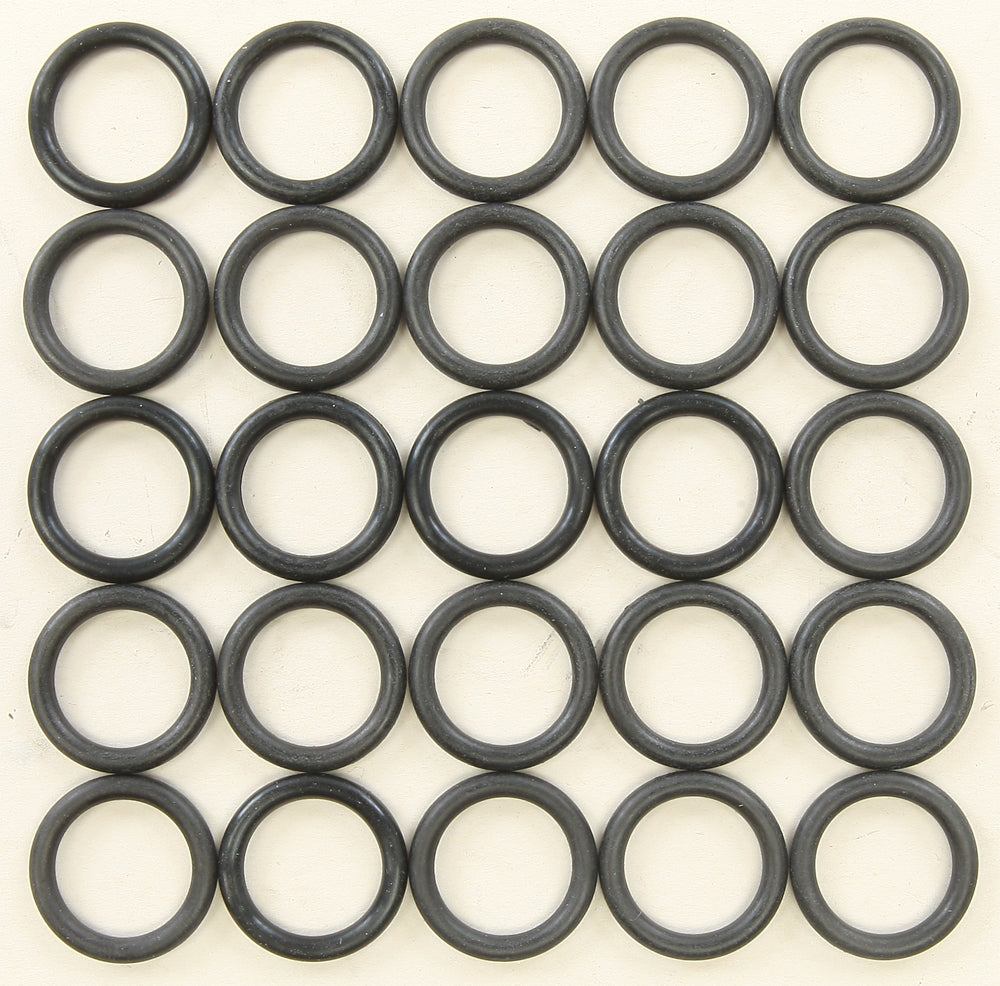 Evo O-Ring