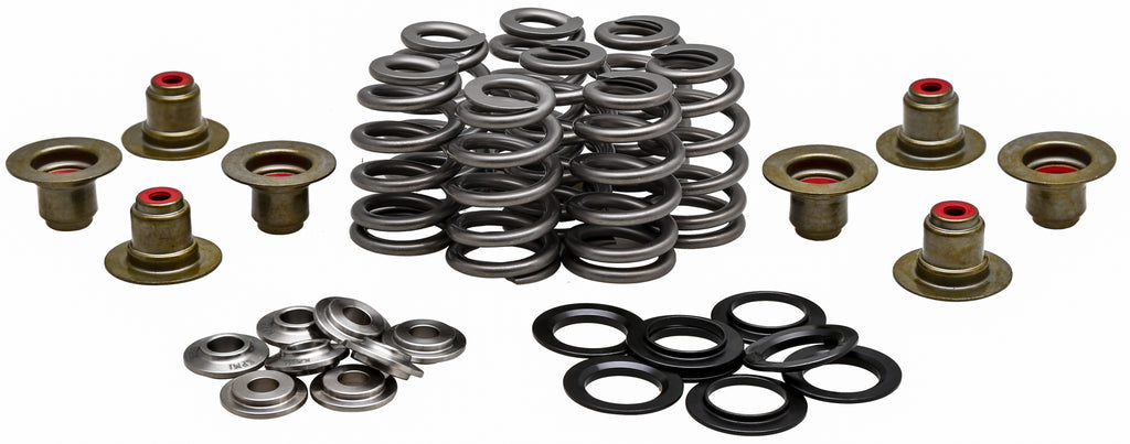 Valve Spring Kit