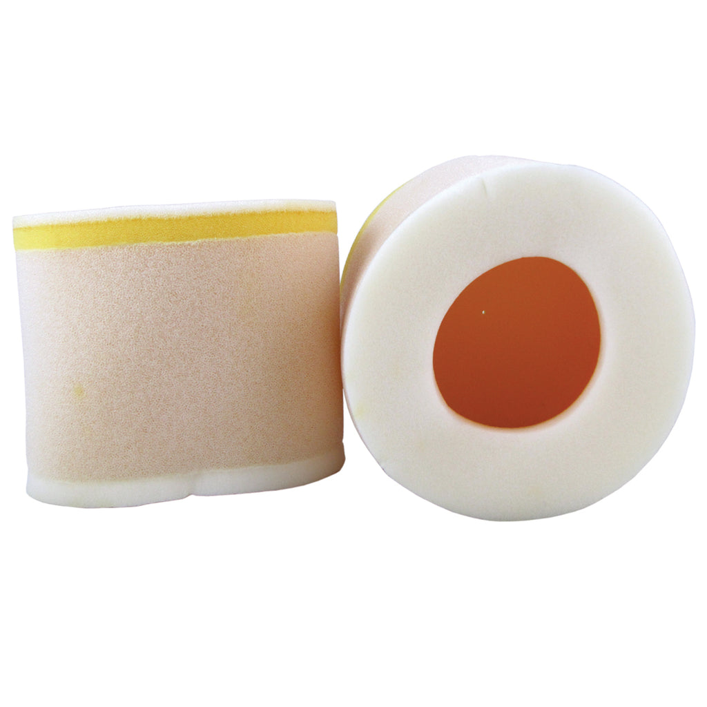 Premium Air Filter