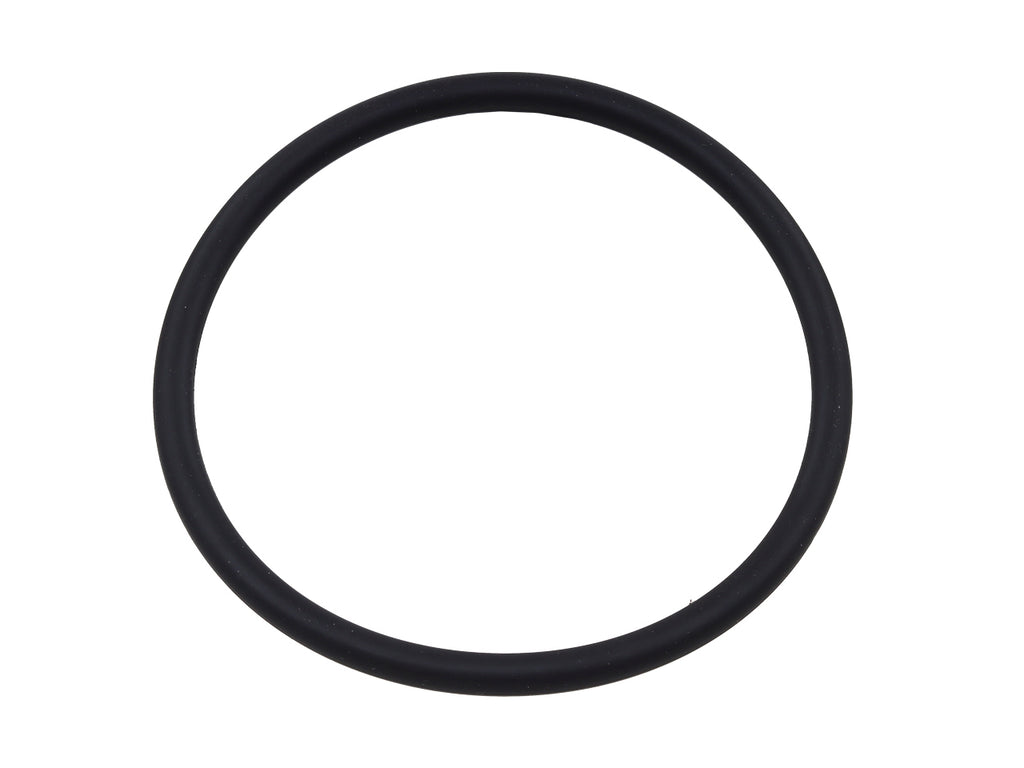 Fuel Pump Seal