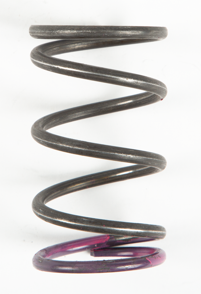Clutch Spring