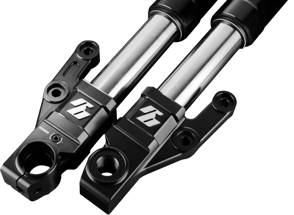 Bishop 43 MM Inverted Forks
