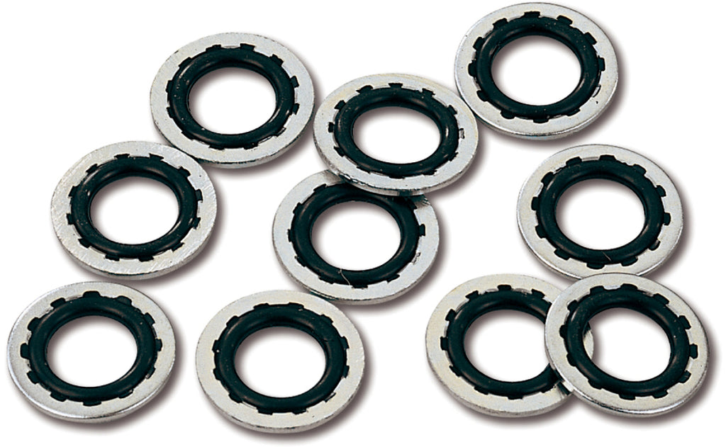 Banjo Bolt Kit
