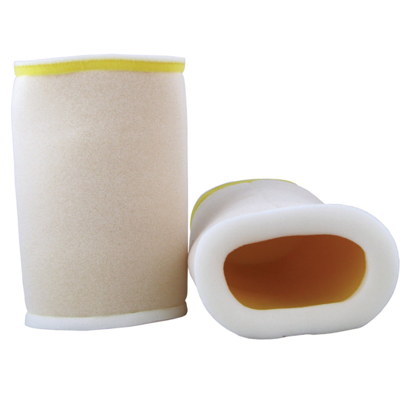 Premium Air Filter