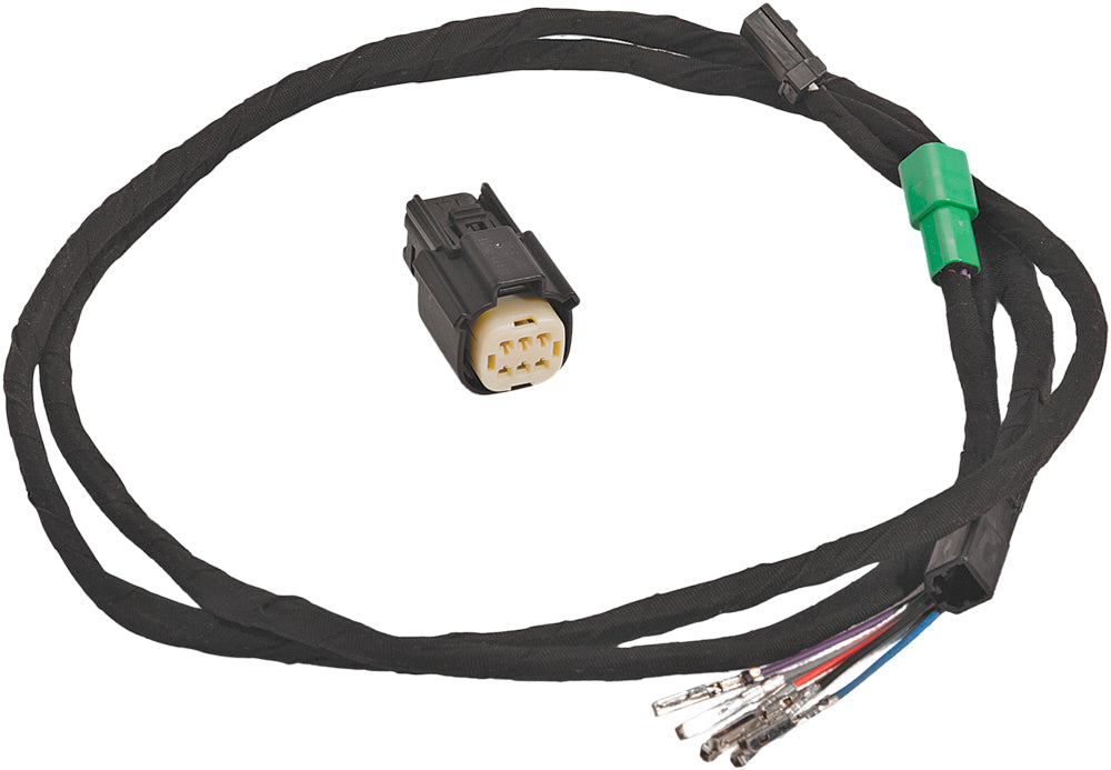 Throttle By Wire Extension