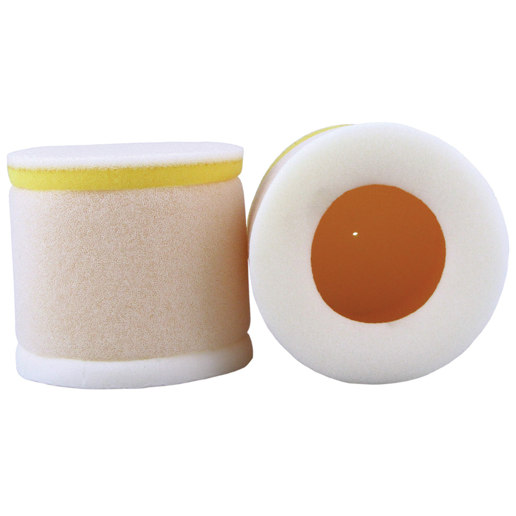 Premium Air Filter