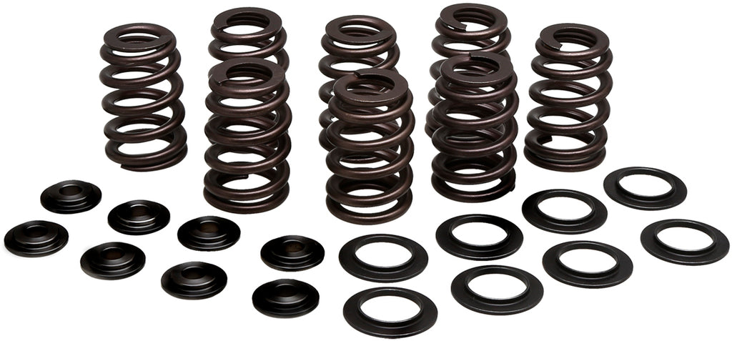 Valve Spring Kit