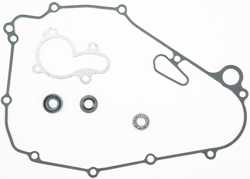 Water Pump Repair Kit