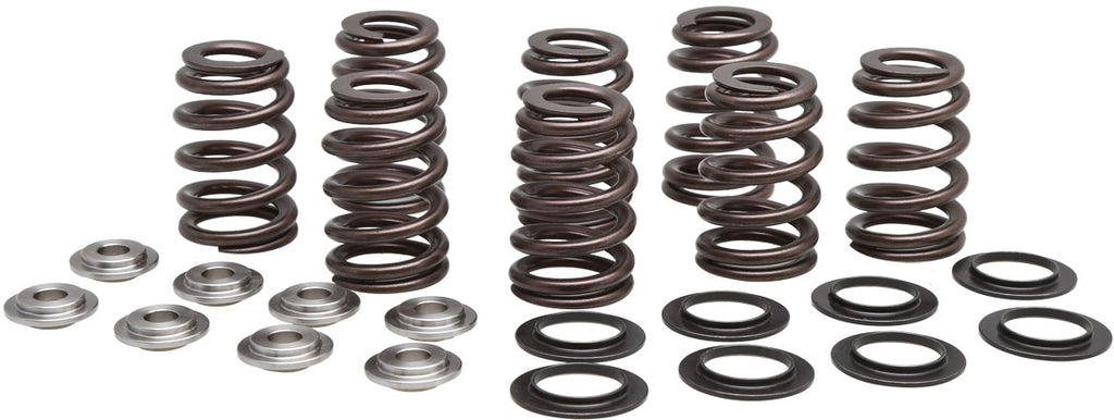 Valve Spring Kit