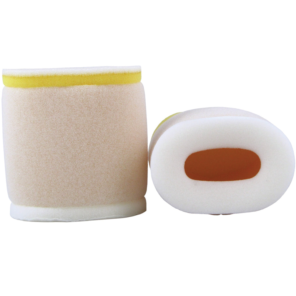 Premium Air Filter