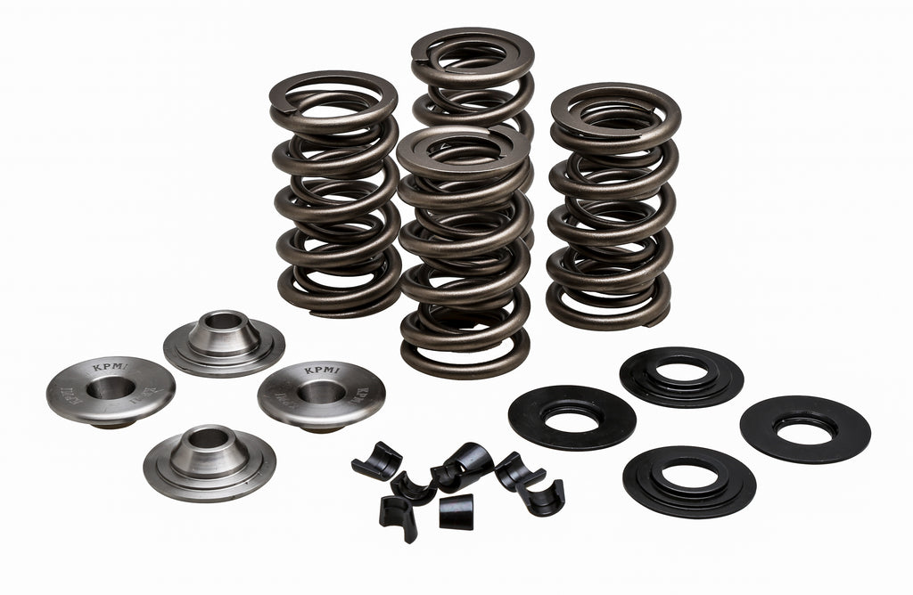 Valve Spring Kit