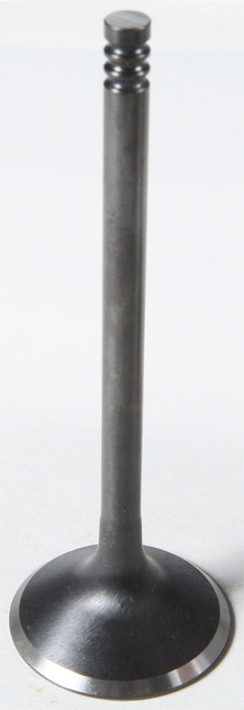 Black Diamond Exhaust Valve