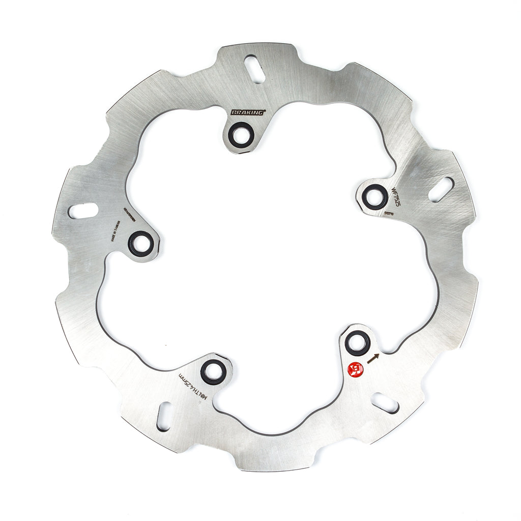 Stainless Steel Racing Rotor