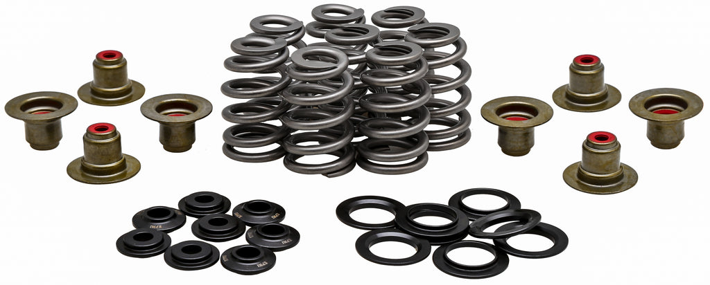Valve Spring Kit