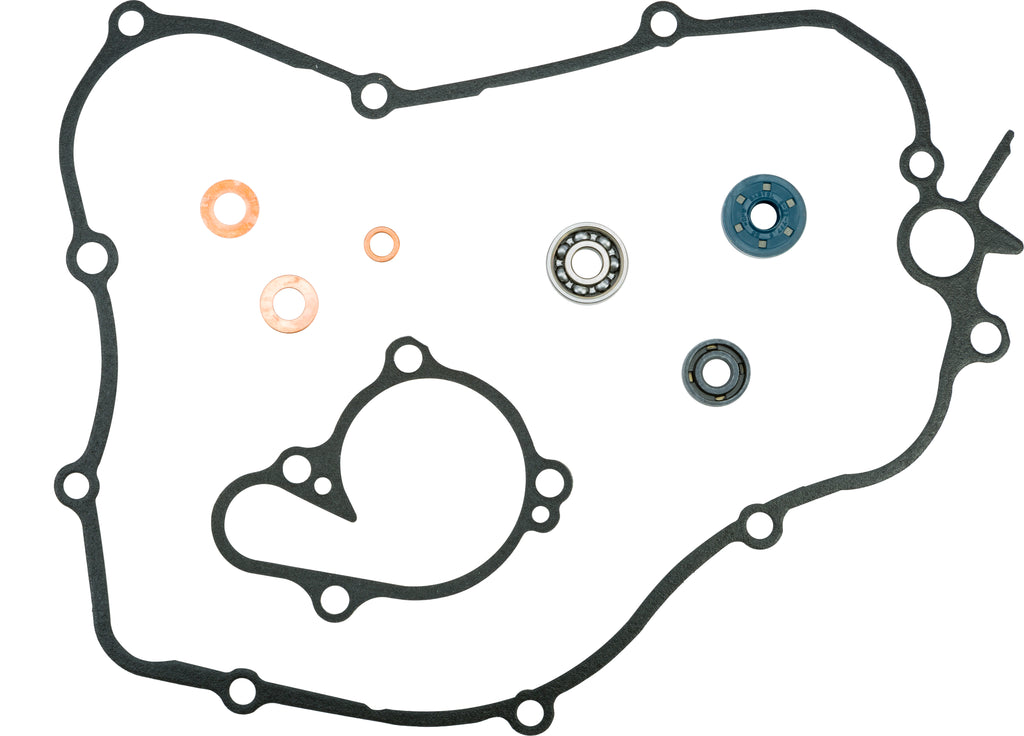 Water Pump Repair Kit