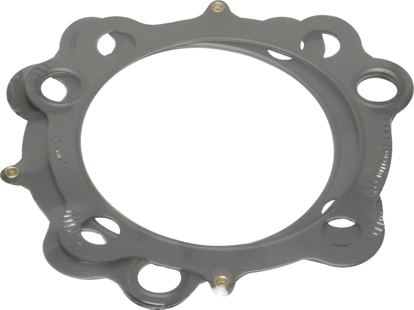 Sportster Head/Base Gasket
